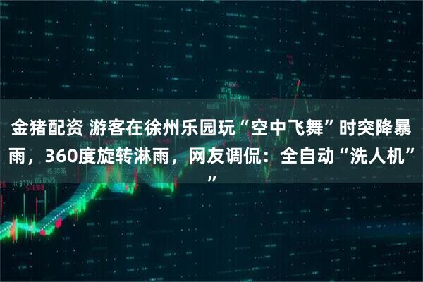 金猪配资 游客在徐州乐园玩“空中飞舞”时突降暴雨，360度旋转淋雨，网友调侃：全自动“洗人机”