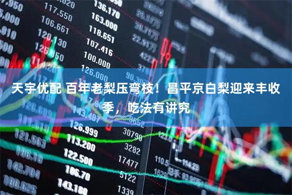 天宇优配 百年老梨压弯枝！昌平京白梨迎来丰收季，吃法有讲究