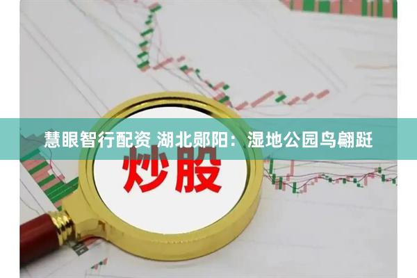 慧眼智行配资 湖北郧阳：湿地公园鸟翩跹